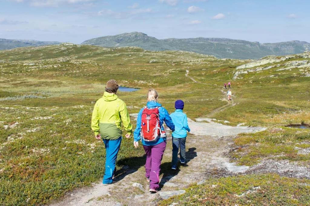 Апартаменты Skeikampen Leilighet, Veslesetervegen 973 F Свингволл Экстерьер фото